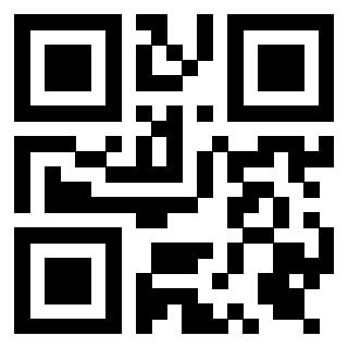 Il Qr Code di 3919376783