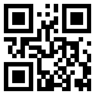 Il Qr Code di 3919376865