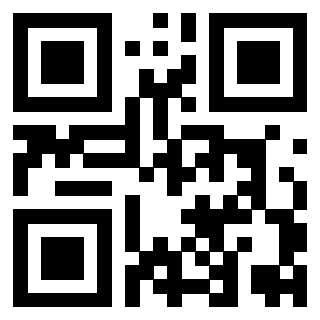 Immagine del QrCode di 3919376873