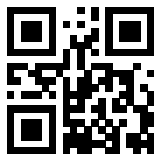 Il Qr Code di 3919376876