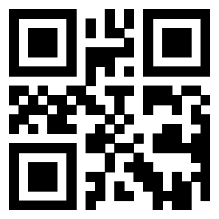 Il Qr Code di 3919376878