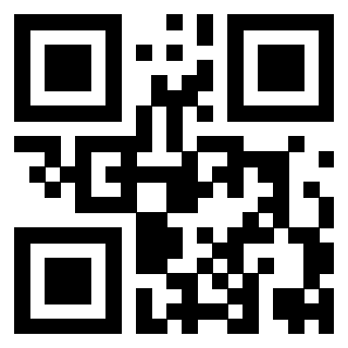 Il QrCode di 3919376879