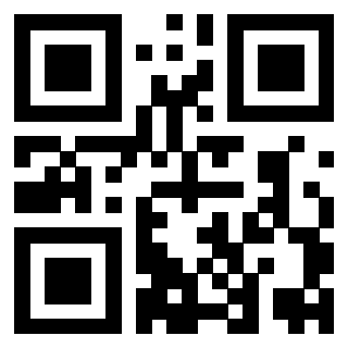 QrCode di 3919376907