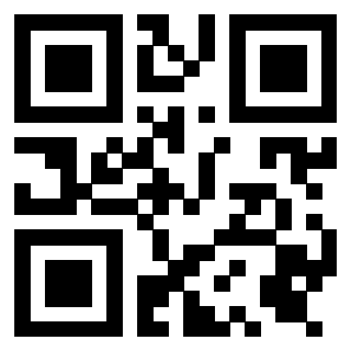 Il Qr Code di 3919376914