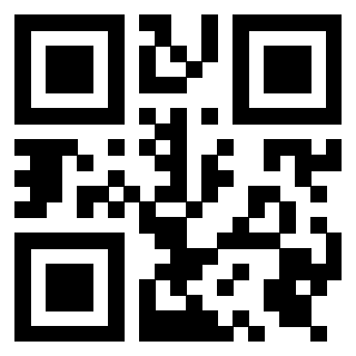 Il Qr Code di 3919376954