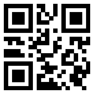 QrCode di 3919376966