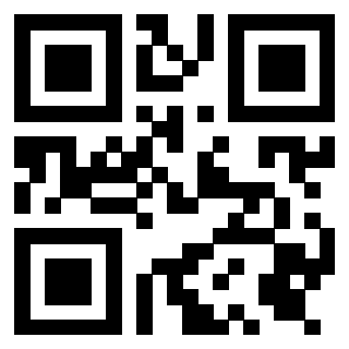 QrCode di 3919376974