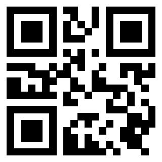 Il Qr Code di 3919376976