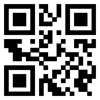 Il Qr Code di 3919376991