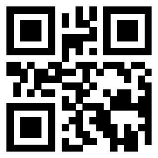 QrCode di 3919376993