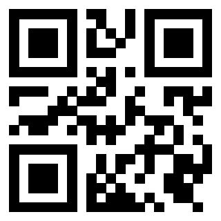 Il Qr Code di 3919376995