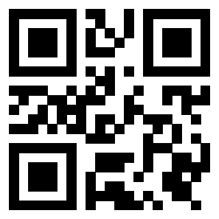 Il QrCode di 3919376997