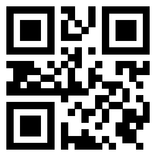 3919376999 Qr Code associato