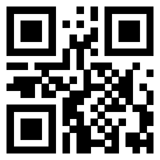 Il Qr Code di 3919377000