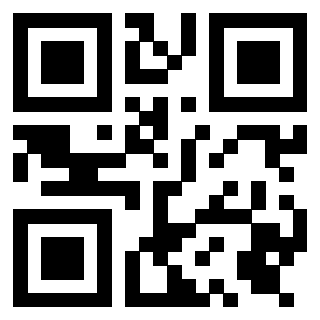 Il Qr Code di 3919377024