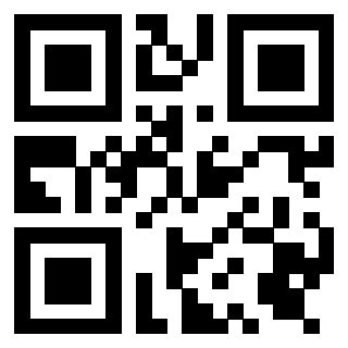 Il Qr Code di 3919377080