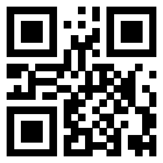 Il Qr Code di 3919377085