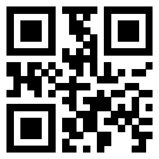 3919377095 QrCode associato