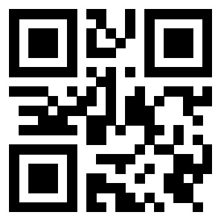 3919377100 Qr Code associato
