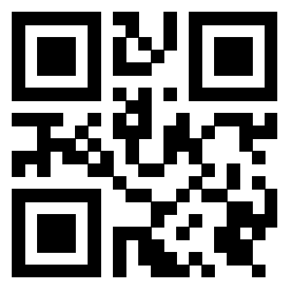 3919377110 Qr Code associato