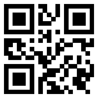 3919377211 Qr Code associato