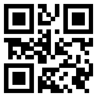 Il Qr Code di 3919377224