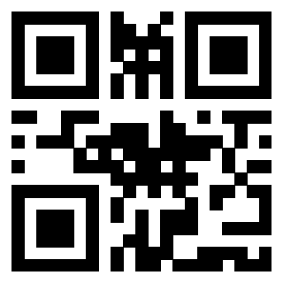 3919377253 QrCode associato