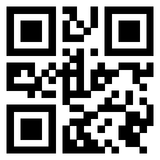 Il Qr Code di 3919377264
