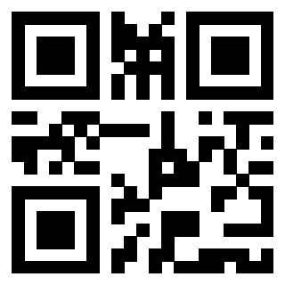 3919377280 QrCode associato