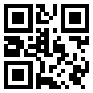 Il Qr Code di 3919377368
