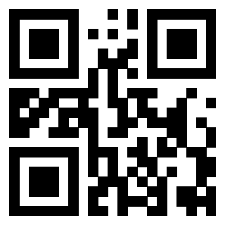 QrCode di 3919377387