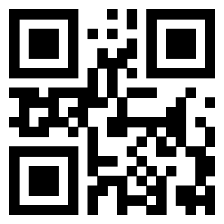 Il Qr Code di 3919377404