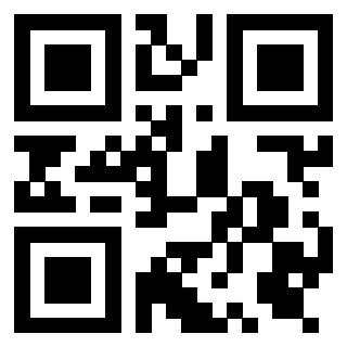 Il Qr Code di 3919385459