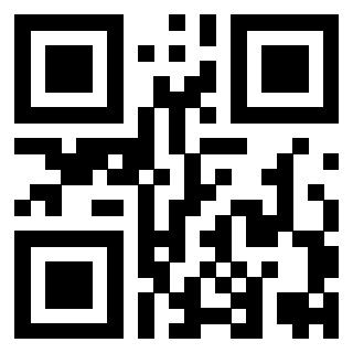Il Qr Code di 3919385466