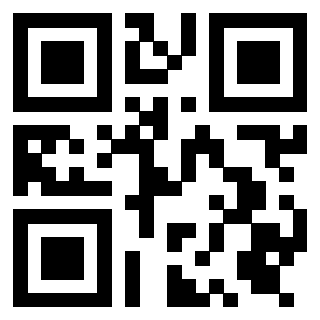 Il Qr Code di 3919385513