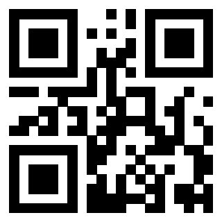 Il Qr Code di 3919385538