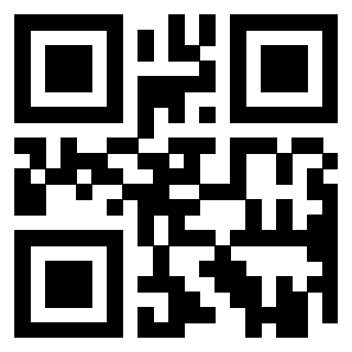 Il Qr Code di 3919385584