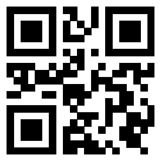 Il Qr Code di 3919385607