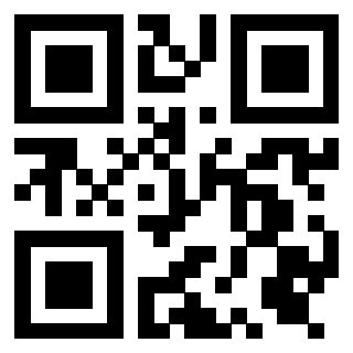 3919385613 Qr Code associato
