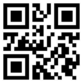 Il Qr Code di 3919385659