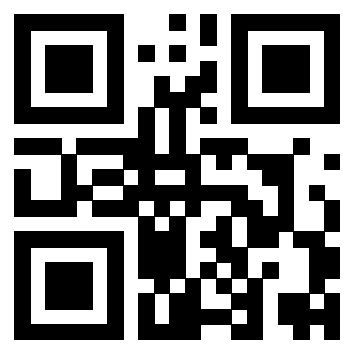 3919385667 QrCode associato
