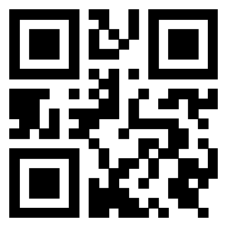 Il Qr Code di 3919385669