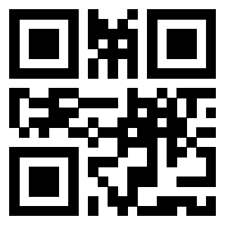 Il Qr Code di 3919385685
