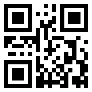 Il Qr Code di 3919385705