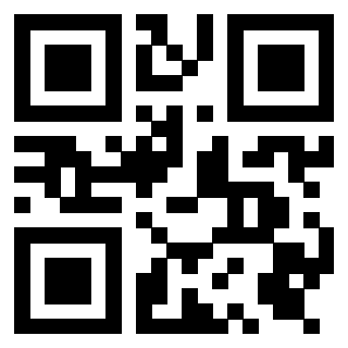 Il Qr Code di 3919385724