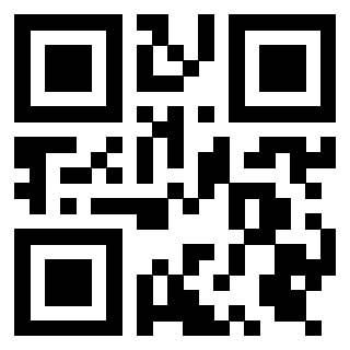 QrCode di 3919385743