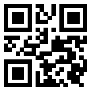 Il Qr Code di 3919385844