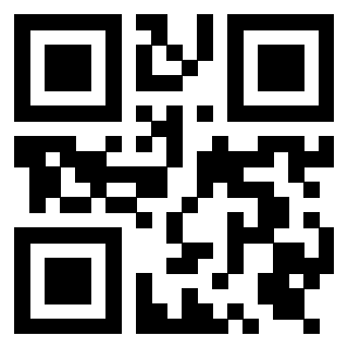 Il Qr Code di 3919385867