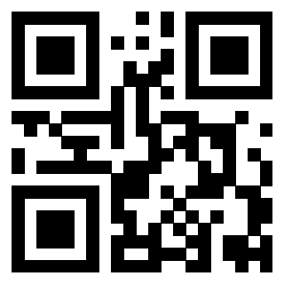 Il Qr Code di 3919385878