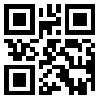 Il Qr Code di 3919385883
